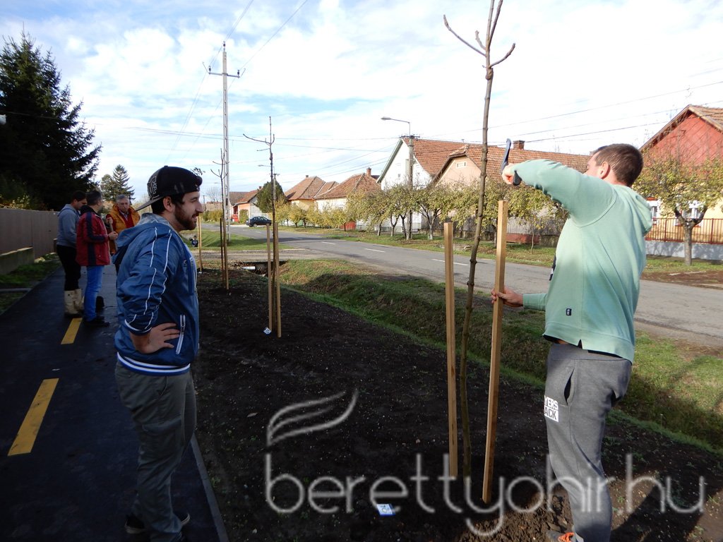 Közösségi faültetés Berettyóújfaluban 68